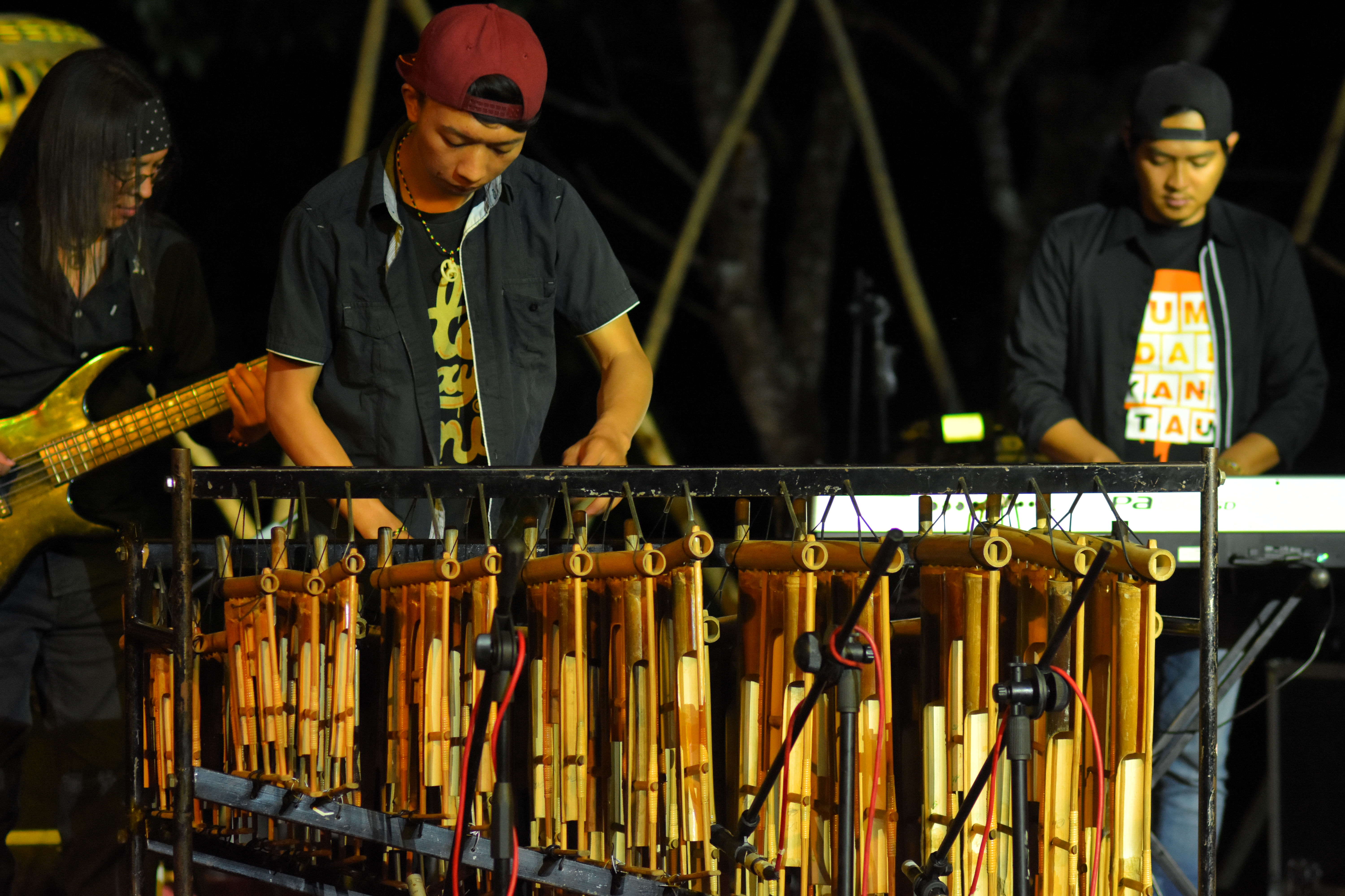 Payakumbuh Botuang Festival image 2