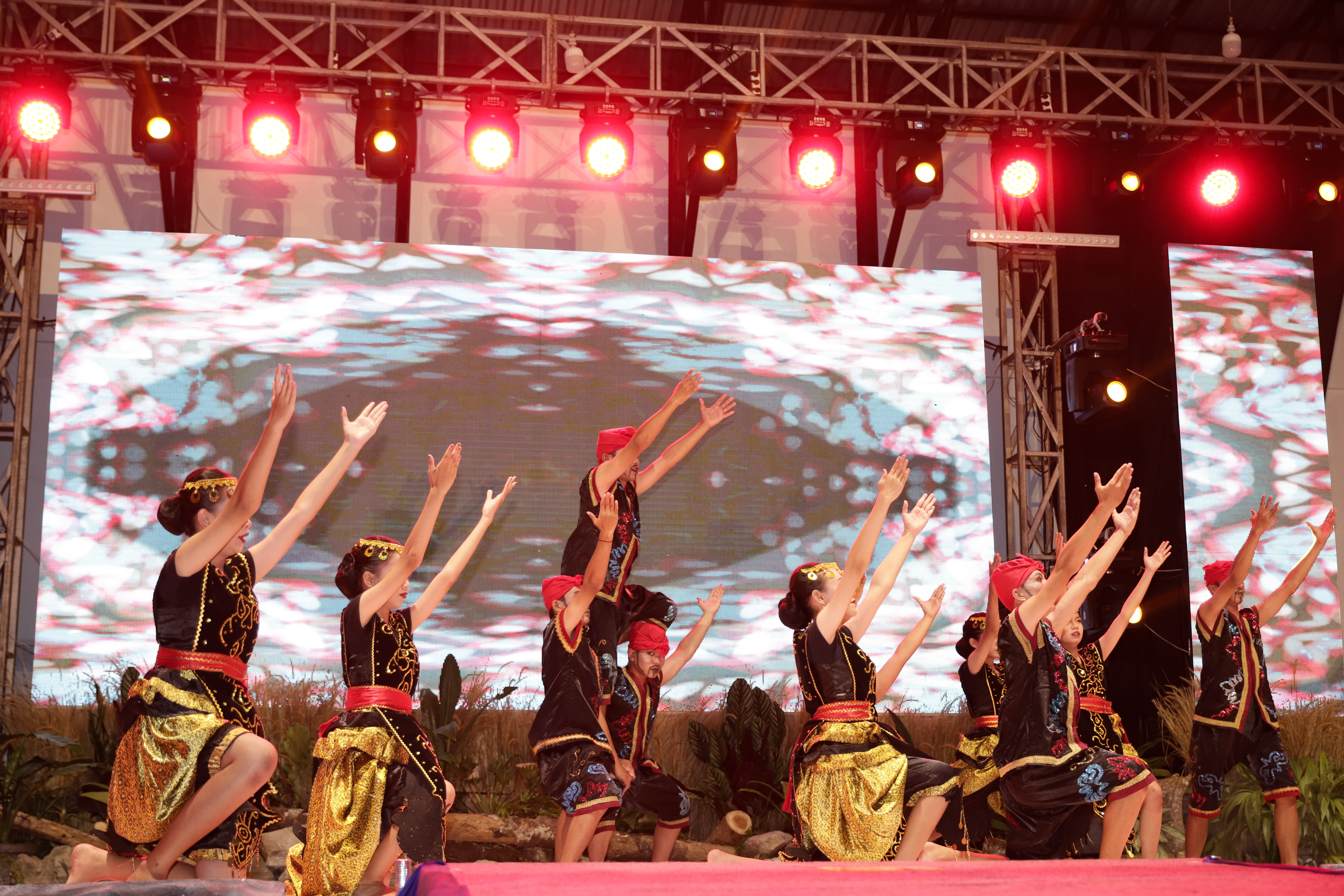 Festival Danau Poso image 4