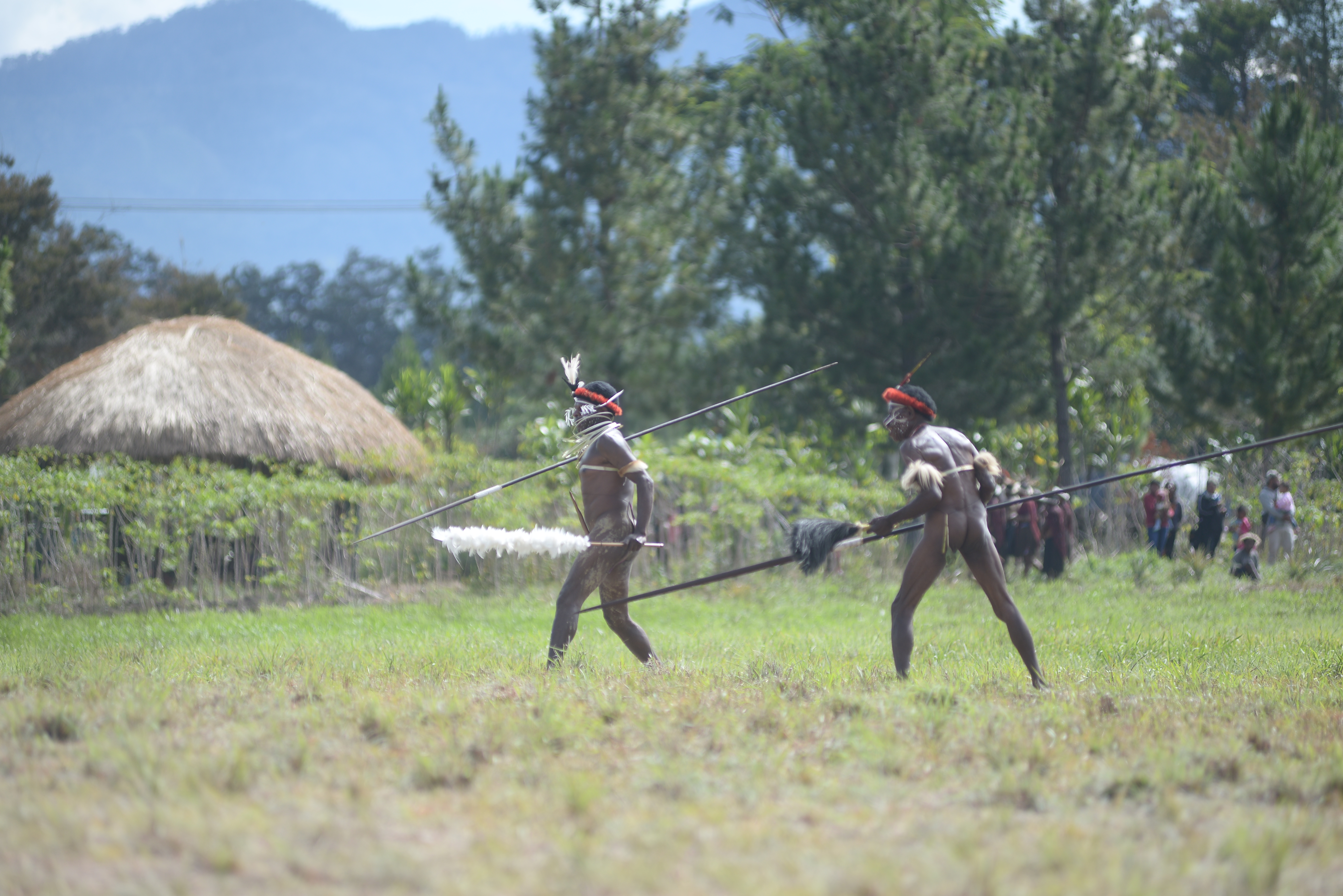 Festival Budaya Lembah Baliem image 6