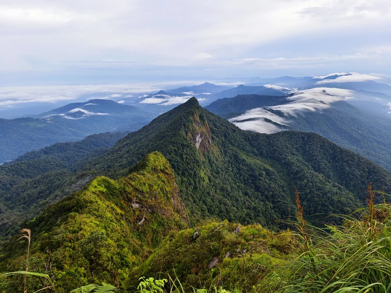 Membentang Sepanjang 600 Kilometer, Intip 3 Hal Menarik dari Pegunungan Meratus di Kalimantan Selatan Ini!